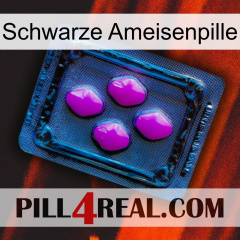 Black Ant Pill 04
